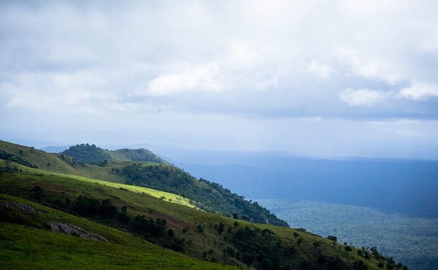 NBA全明星赛票选结果公布