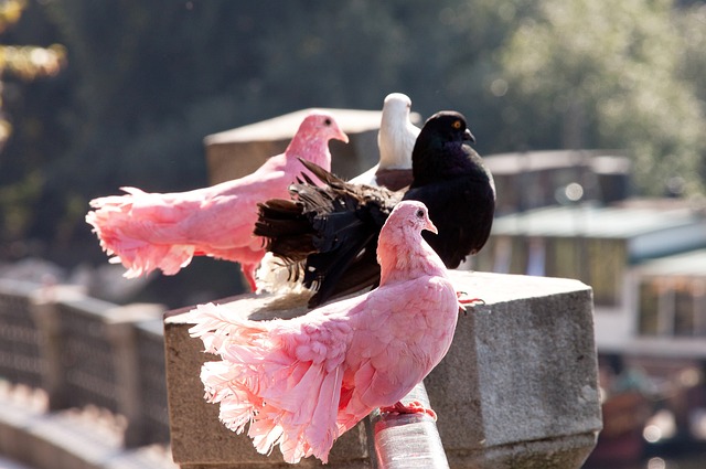 他球队的成 他球队的成