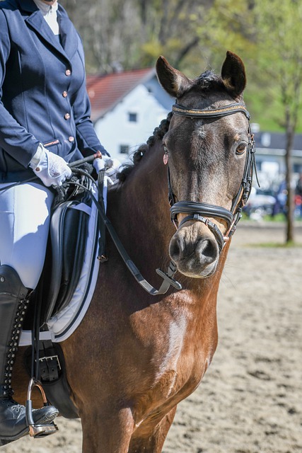 更是本赛季 更是本赛季